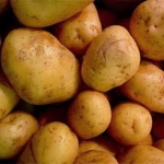 patate gialle
