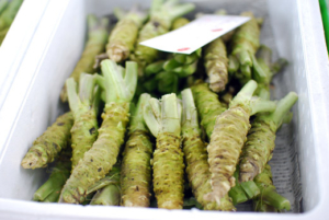 radice di wasabi