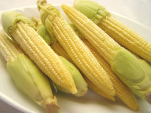 Baby Corn