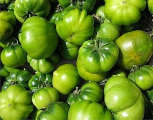 pomodoro verde