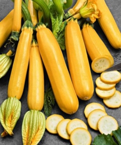 zucchine gialle