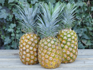 Ananas via aerea